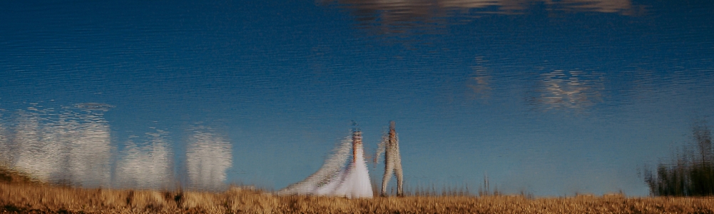 User banner image